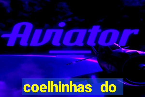 coelhinhas do brasil jp